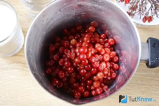 Bayas de Viburnum en una cacerola