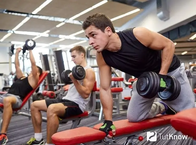 Atletas en el gimnasio