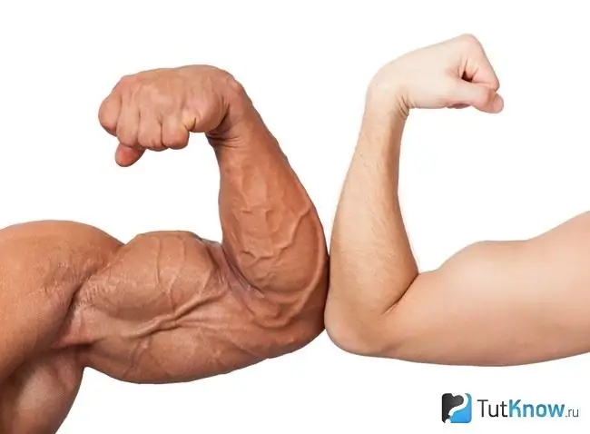 Muscle volume with and without dianabol