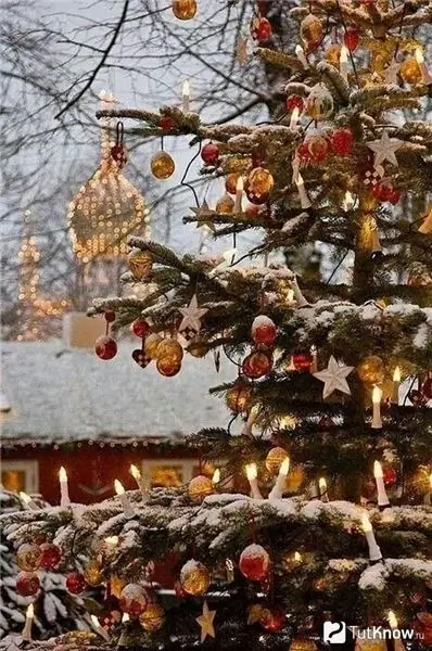 Decoració d’un arbre de Nadal a prop de casa