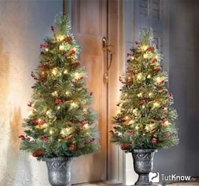 Two decorated Christmas trees