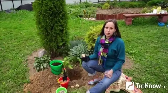 A menina senta a tetraz avelã imperial