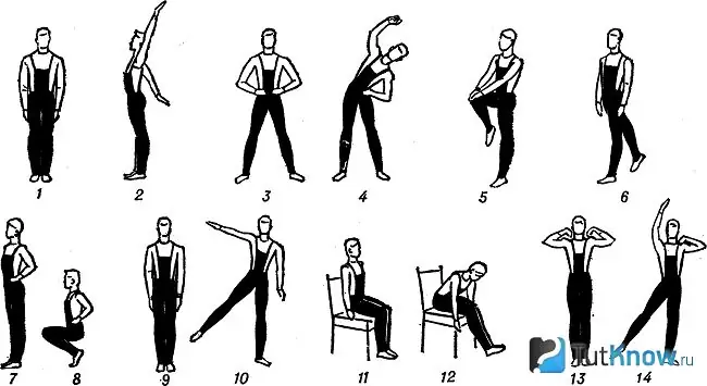 Un conjunto de ejercicios de gimnasia industrial