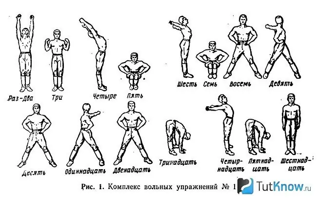 Жұмыс күні басталғанға дейін кіріспе гимнастика