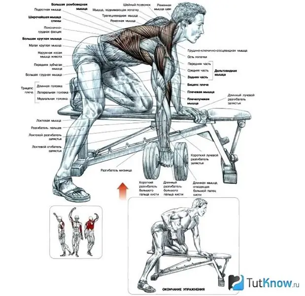 Dumbbell Row