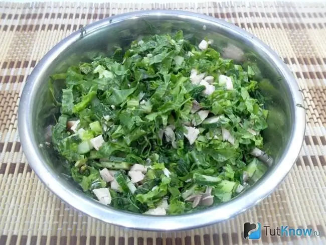 Ready salad with lettuce and chicken