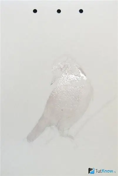 The initial stage of drawing a bird