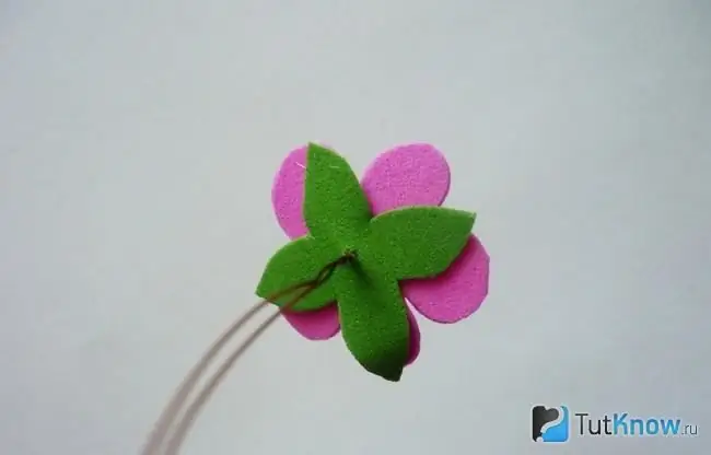 Sepal attached to the back of the flower