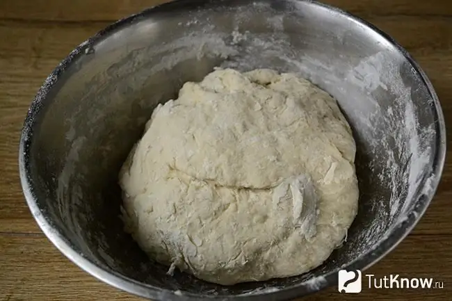 Dough in a metal bowl