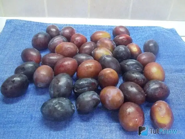 Natuyo ang mga plum