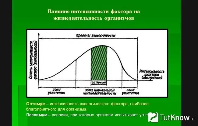 Rappresentazione schematica dell'effetto dell'intensità sul corpo