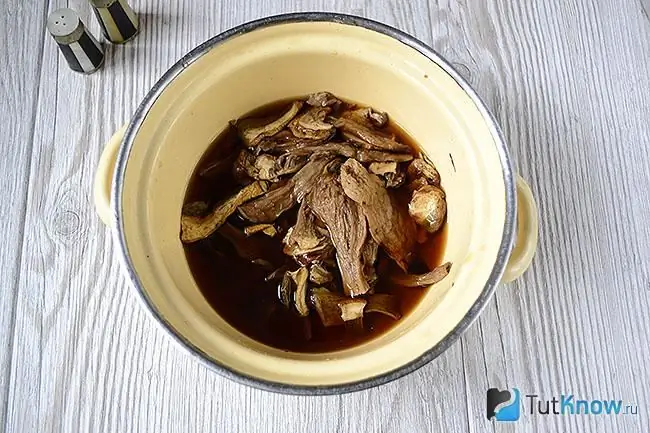 Hongos porcini secos en agua