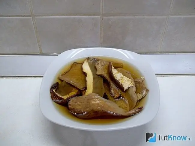 Funghi ammollati in acqua