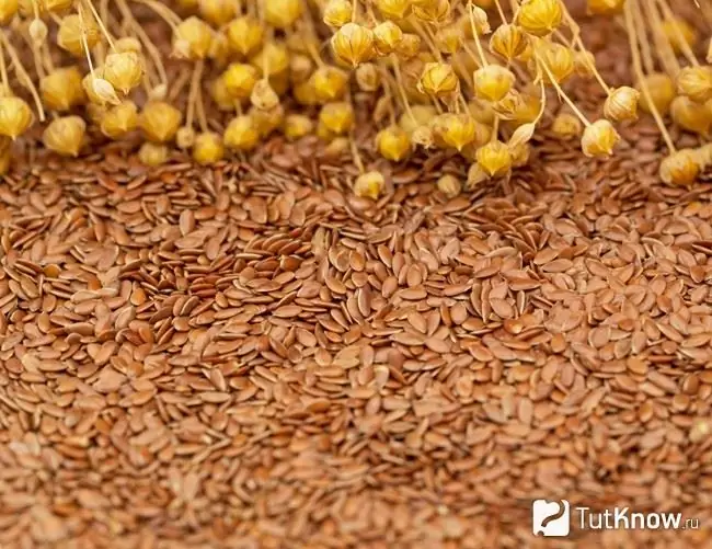 Flax seeds as a pantry of useful elements