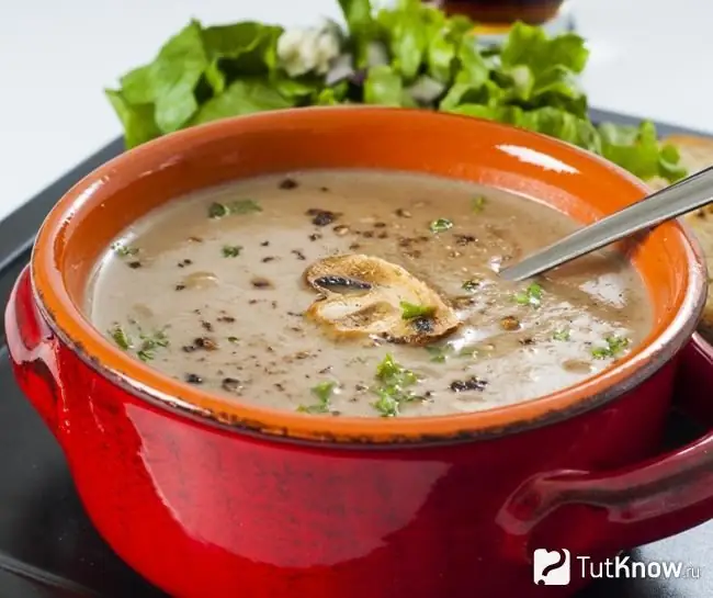 Soupe aux herbes et champignons euphorbes