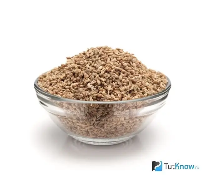 Indian cumin