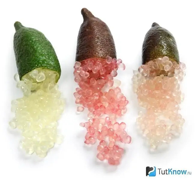 polpa di finger lime